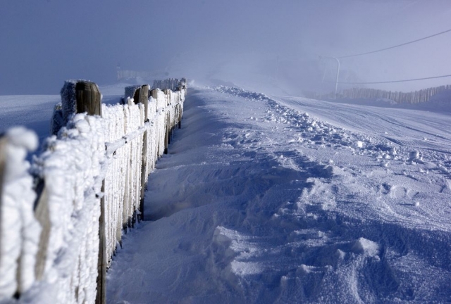Nieve recien caida